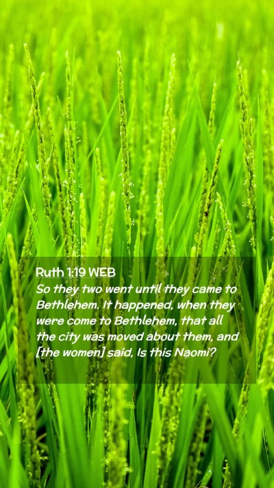Picture 02 - Ruth 1:19 WEB Mobile Phone Wallpaper - So they two went until they came to Bethlehem. It - Mobile Bible Verse Wallpaper