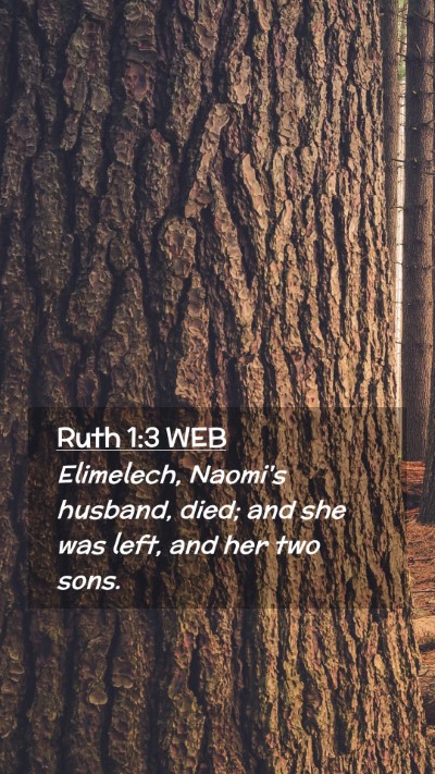 Picture 02 - Ruth 1:3 WEB Mobile Phone Wallpaper - Elimelech, Naomi's husband, died; and she was - Mobile Bible Verse Wallpaper