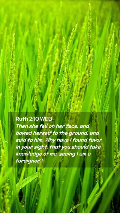 Picture 02 - Ruth 2:10 WEB Mobile Phone Wallpaper - Then she fell on her face, and bowed herself to - Mobile Bible Verse Wallpaper