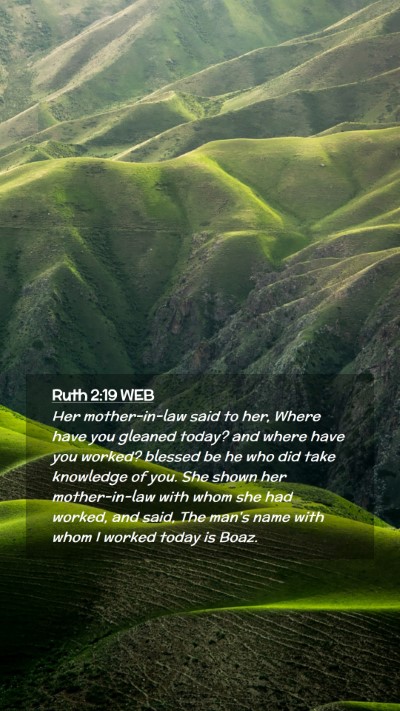 Picture 02 - Ruth 2:19 WEB Mobile Phone Wallpaper - Her mother-in-law said to her, Where have you - Mobile Bible Verse Wallpaper