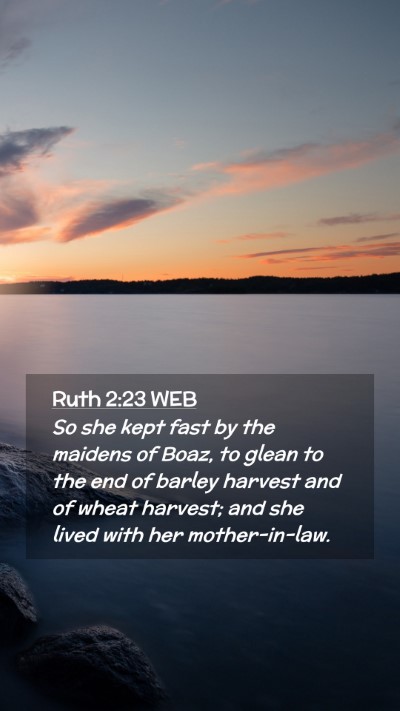 Picture 02 - Ruth 2:23 WEB Mobile Phone Wallpaper - So she kept fast by the maidens of Boaz, to glean - Mobile Bible Verse Wallpaper