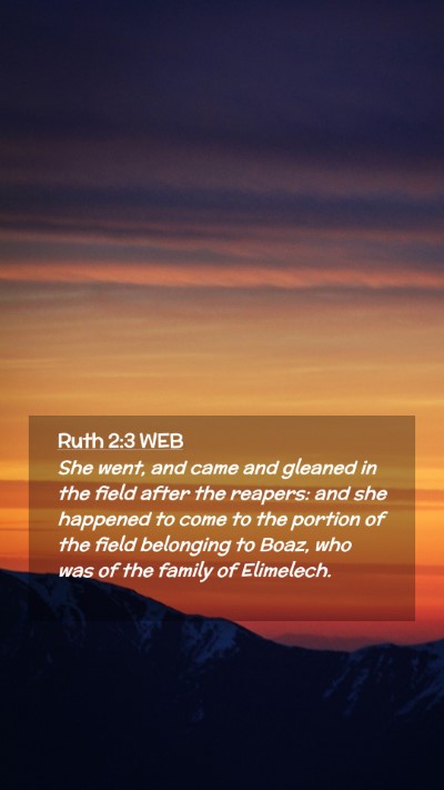Picture 02 - Ruth 2:3 WEB Mobile Phone Wallpaper - She went, and came and gleaned in the field after - Mobile Bible Verse Wallpaper
