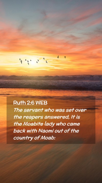 Picture 02 - Ruth 2:6 WEB Mobile Phone Wallpaper - The servant who was set over the reapers - Mobile Bible Verse Wallpaper