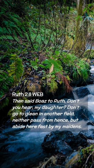 Picture 02 - Ruth 2:8 WEB Mobile Phone Wallpaper - Then said Boaz to Ruth, Don't you hear, my - Mobile Bible Verse Wallpaper