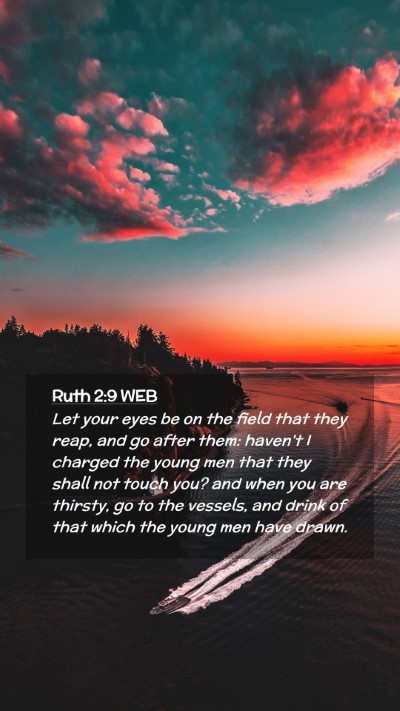 Picture 02 - Ruth 2:9 WEB Mobile Phone Wallpaper - Let your eyes be on the field that they reap, and - Mobile Bible Verse Wallpaper