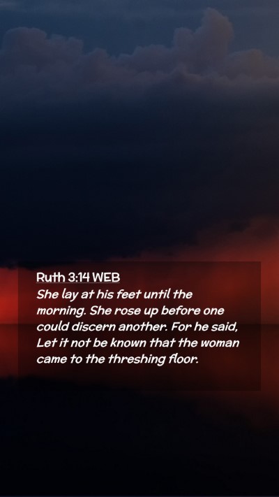 Picture 02 - Ruth 3:14 WEB Mobile Phone Wallpaper - She lay at his feet until the morning. She rose - Mobile Bible Verse Wallpaper