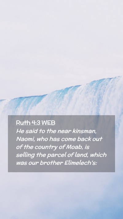Picture 02 - Ruth 4:3 WEB Mobile Phone Wallpaper - He said to the near kinsman, Naomi, who has come - Mobile Bible Verse Wallpaper