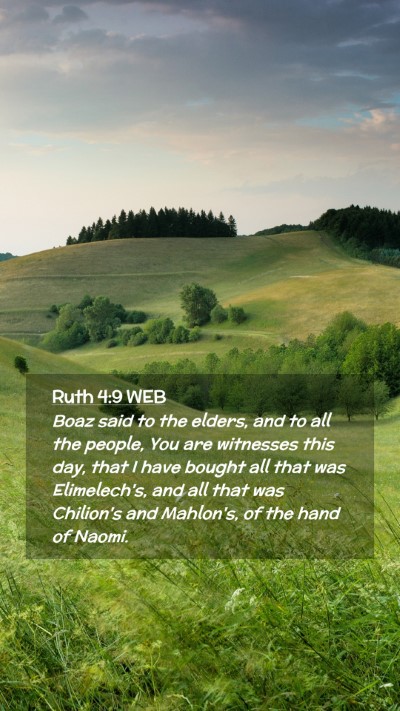 Picture 02 - Ruth 4:9 WEB Mobile Phone Wallpaper - Boaz said to the elders, and to all the people, - Mobile Bible Verse Wallpaper