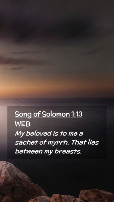 Picture 02 - Song of Solomon 1:13 WEB Mobile Phone Wallpaper - My beloved is to me a sachet of myrrh, That lies - Mobile Bible Verse Wallpaper
