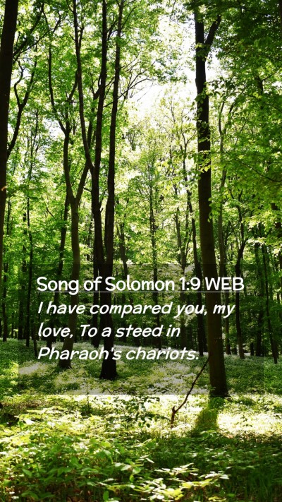 Picture 02 - Song of Solomon 1:9 WEB Mobile Phone Wallpaper - I have compared you, my love, To a steed in - Mobile Bible Verse Wallpaper