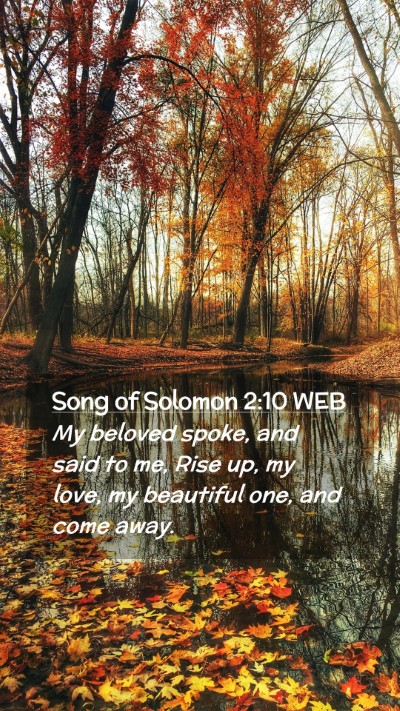 Picture 02 - Song of Solomon 2:10 WEB Mobile Phone Wallpaper - My beloved spoke, and said to me, Rise up, my - Mobile Bible Verse Wallpaper