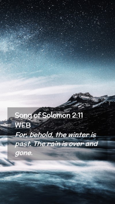 Picture 02 - Song of Solomon 2:11 WEB Mobile Phone Wallpaper - For, behold, the winter is past. The rain is over - Mobile Bible Verse Wallpaper