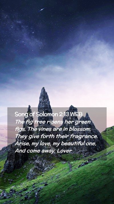 Picture 02 - Song of Solomon 2:13 WEB Mobile Phone Wallpaper - The fig tree ripens her green figs. The vines are - Mobile Bible Verse Wallpaper