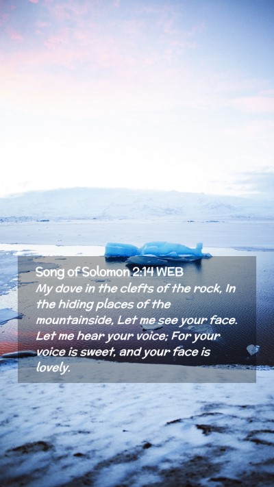 Picture 02 - Song of Solomon 2:14 WEB Mobile Phone Wallpaper - My dove in the clefts of the rock, In the hiding - Mobile Bible Verse Wallpaper