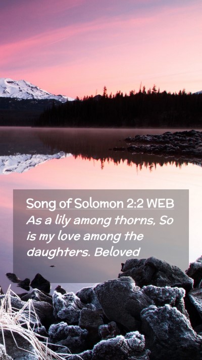 Picture 02 - Song of Solomon 2:2 WEB Mobile Phone Wallpaper - As a lily among thorns, So is my love among the - Mobile Bible Verse Wallpaper
