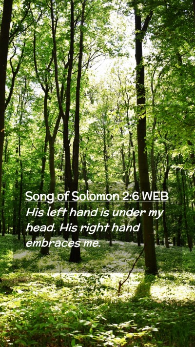 Picture 02 - Song of Solomon 2:6 WEB Mobile Phone Wallpaper - His left hand is under my head. His right hand - Mobile Bible Verse Wallpaper