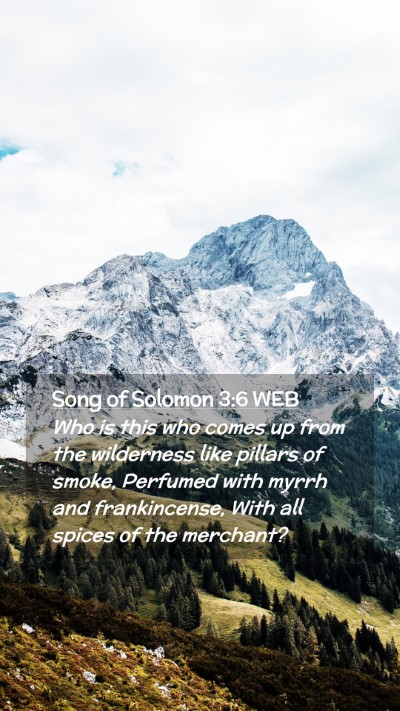 Picture 02 - Song of Solomon 3:6 WEB Mobile Phone Wallpaper - Who is this who comes up from the wilderness like - Mobile Bible Verse Wallpaper