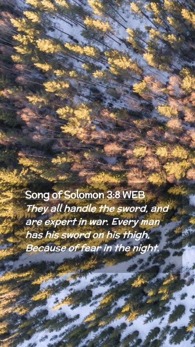 Picture 02 - Song of Solomon 3:8 WEB Mobile Phone Wallpaper - They all handle the sword, and are expert in war. - Mobile Bible Verse Wallpaper