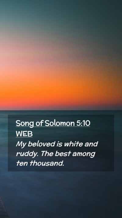 Picture 02 - Song of Solomon 5:10 WEB Mobile Phone Wallpaper - My beloved is white and ruddy. The best among ten - Mobile Bible Verse Wallpaper