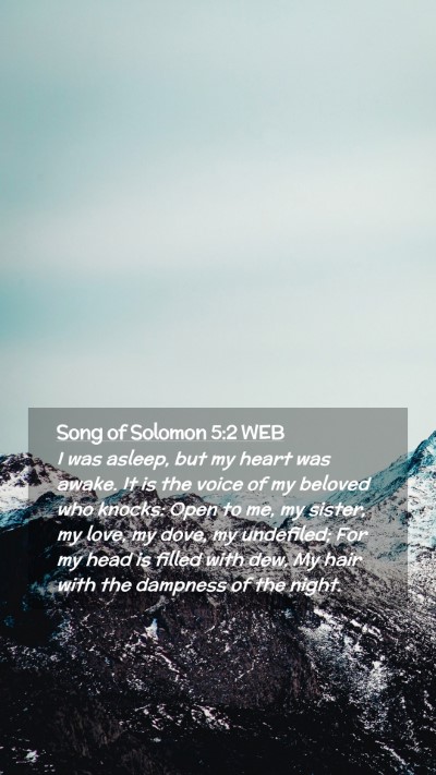 Picture 02 - Song of Solomon 5:2 WEB Mobile Phone Wallpaper - I was asleep, but my heart was awake. It is the - Mobile Bible Verse Wallpaper