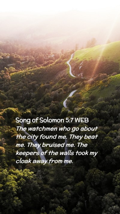Picture 02 - Song of Solomon 5:7 WEB Mobile Phone Wallpaper - The watchmen who go about the city found me. They - Mobile Bible Verse Wallpaper