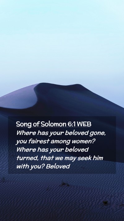 Picture 02 - Song of Solomon 6:1 WEB Mobile Phone Wallpaper - Where has your beloved gone, you fairest among - Mobile Bible Verse Wallpaper
