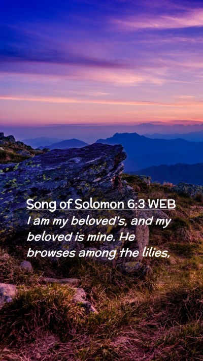 Picture 02 - Song of Solomon 6:3 WEB Mobile Phone Wallpaper - I am my beloved's, and my beloved is mine. He - Mobile Bible Verse Wallpaper