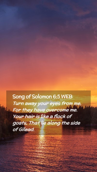 Picture 02 - Song of Solomon 6:5 WEB Mobile Phone Wallpaper - Turn away your eyes from me, For they have - Mobile Bible Verse Wallpaper
