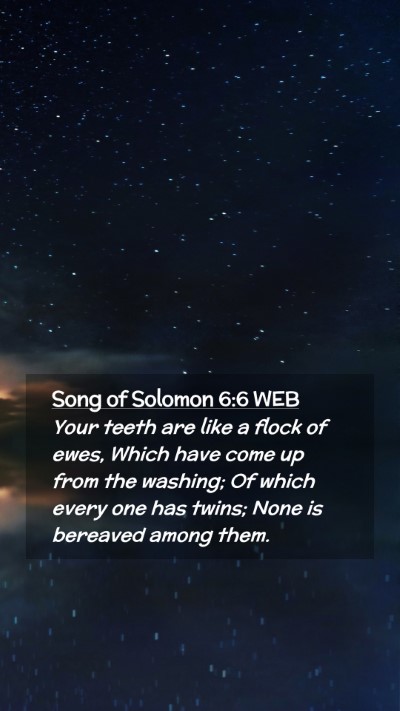 Picture 02 - Song of Solomon 6:6 WEB Mobile Phone Wallpaper - Your teeth are like a flock of ewes, Which have - Mobile Bible Verse Wallpaper