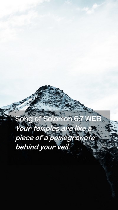 Picture 02 - Song of Solomon 6:7 WEB Mobile Phone Wallpaper - Your temples are like a piece of a pomegranate - Mobile Bible Verse Wallpaper