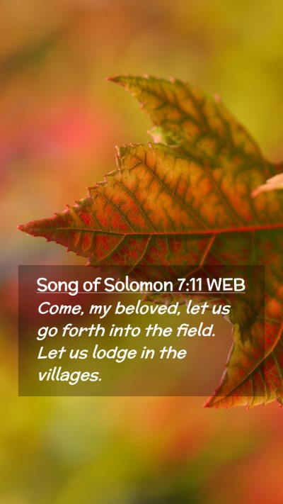 Picture 02 - Song of Solomon 7:11 WEB Mobile Phone Wallpaper - Come, my beloved, let us go forth into the field. - Mobile Bible Verse Wallpaper