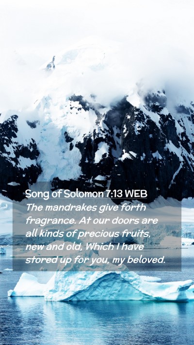 Picture 02 - Song of Solomon 7:13 WEB Mobile Phone Wallpaper - The mandrakes give forth fragrance. At our doors - Mobile Bible Verse Wallpaper