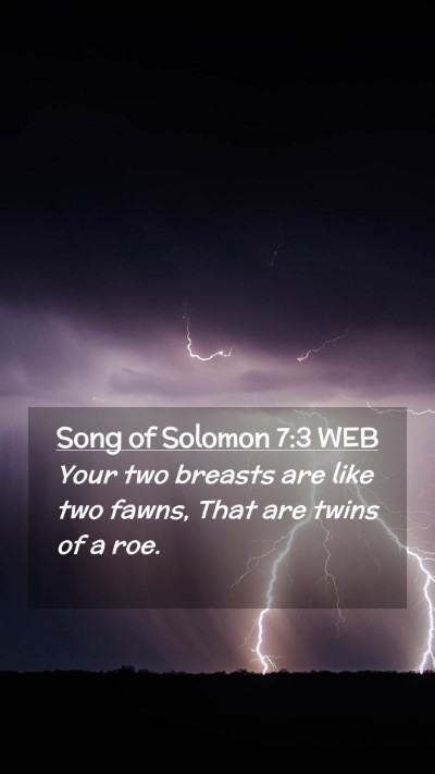 Picture 02 - Song of Solomon 7:3 WEB Mobile Phone Wallpaper - Your two breasts are like two fawns, That are - Mobile Bible Verse Wallpaper