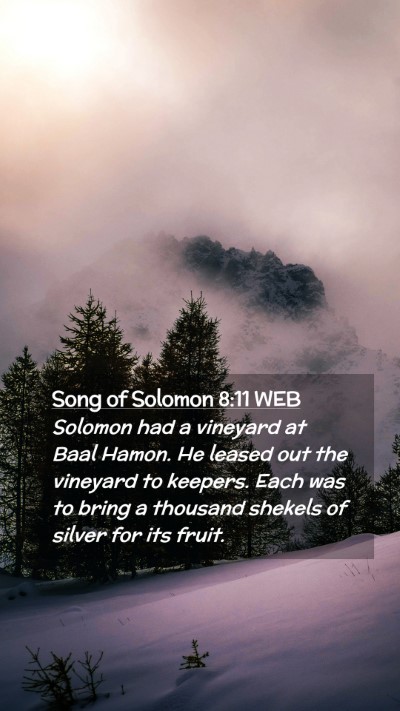 Picture 02 - Song of Solomon 8:11 WEB Mobile Phone Wallpaper - Solomon had a vineyard at Baal Hamon. He leased - Mobile Bible Verse Wallpaper