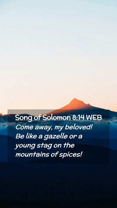 Picture 02 - Song of Solomon 8:14 WEB Mobile Phone Wallpaper - Come away, my beloved! Be like a gazelle or a - Mobile Bible Verse Wallpaper