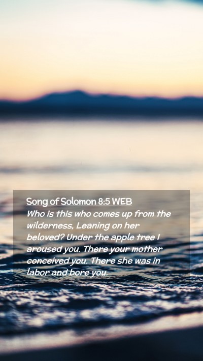 Picture 02 - Song of Solomon 8:5 WEB Mobile Phone Wallpaper - Who is this who comes up from the wilderness, - Mobile Bible Verse Wallpaper