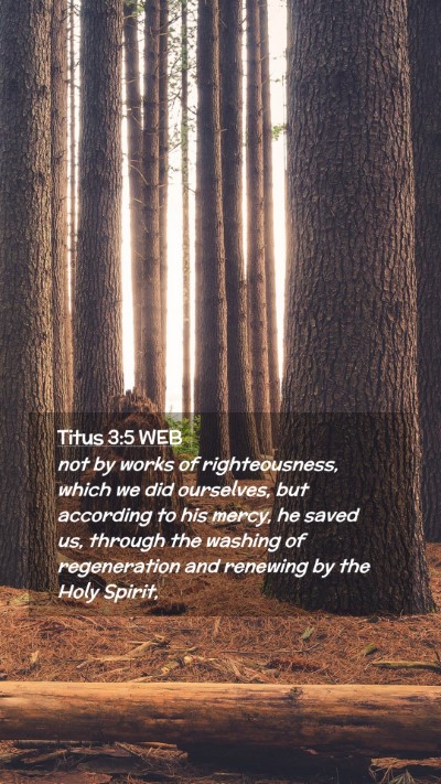 Picture 02 - Titus 3:5 WEB Mobile Phone Wallpaper - not by works of righteousness, which we did - Mobile Bible Verse Wallpaper