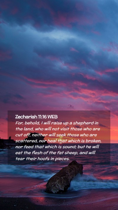 Picture 02 - Zechariah 11:16 WEB Mobile Phone Wallpaper - For, behold, I will raise up a shepherd in the - Mobile Bible Verse Wallpaper