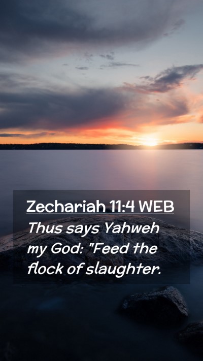 Picture 02 - Zechariah 11:4 WEB Mobile Phone Wallpaper - Thus says Yahweh my God: 