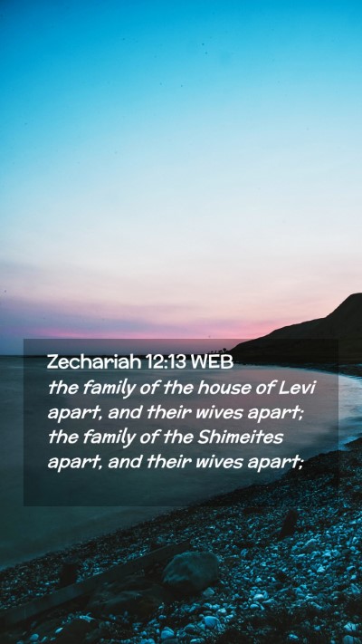 Picture 02 - Zechariah 12:13 WEB Mobile Phone Wallpaper - the family of the house of Levi apart, and their - Mobile Bible Verse Wallpaper