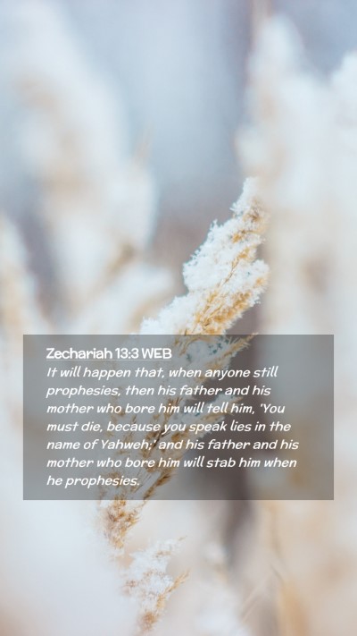 Picture 02 - Zechariah 13:3 WEB Mobile Phone Wallpaper - It will happen that, when anyone still - Mobile Bible Verse Wallpaper