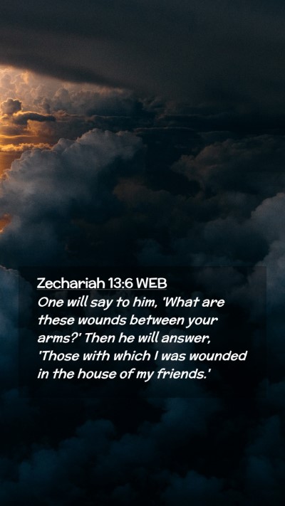 Picture 02 - Zechariah 13:6 WEB Mobile Phone Wallpaper - One will say to him, 'What are these wounds - Mobile Bible Verse Wallpaper