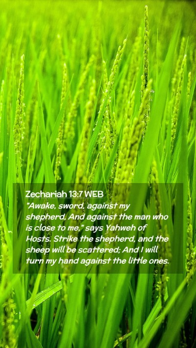 Picture 02 - Zechariah 13:7 WEB Mobile Phone Wallpaper - 