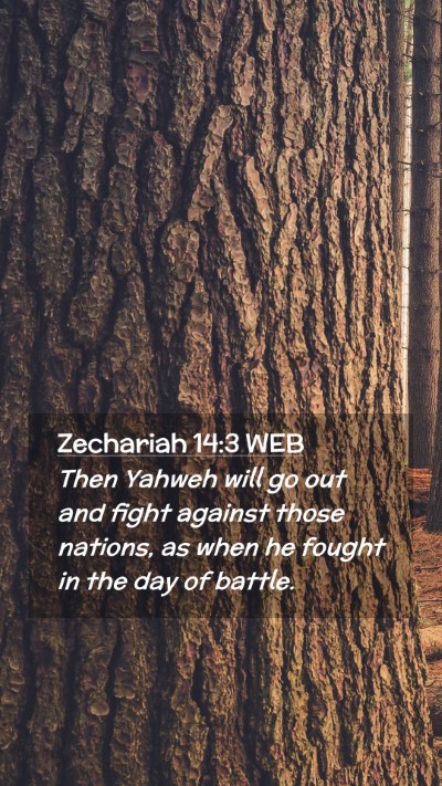 Picture 02 - Zechariah 14:3 WEB Mobile Phone Wallpaper - Then Yahweh will go out and fight against those - Mobile Bible Verse Wallpaper
