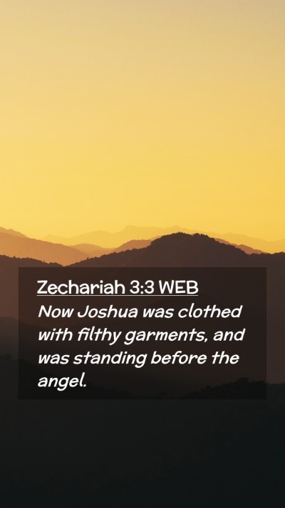 Picture 02 - Zechariah 3:3 WEB Mobile Phone Wallpaper - Now Joshua was clothed with filthy garments, and - Mobile Bible Verse Wallpaper