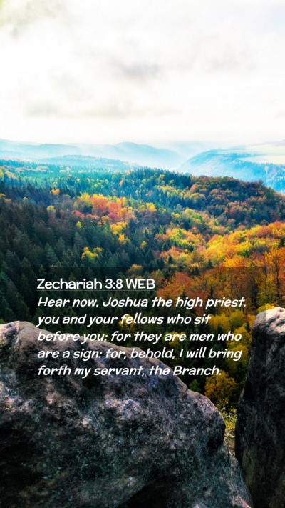 Picture 02 - Zechariah 3:8 WEB Mobile Phone Wallpaper - Hear now, Joshua the high priest, you and your - Mobile Bible Verse Wallpaper