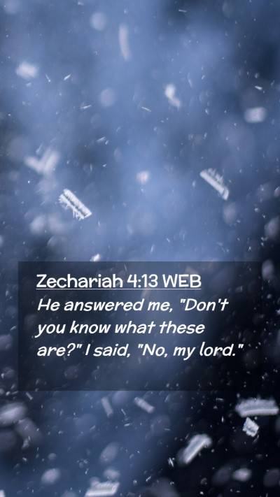 Picture 02 - Zechariah 4:13 WEB Mobile Phone Wallpaper - He answered me, 