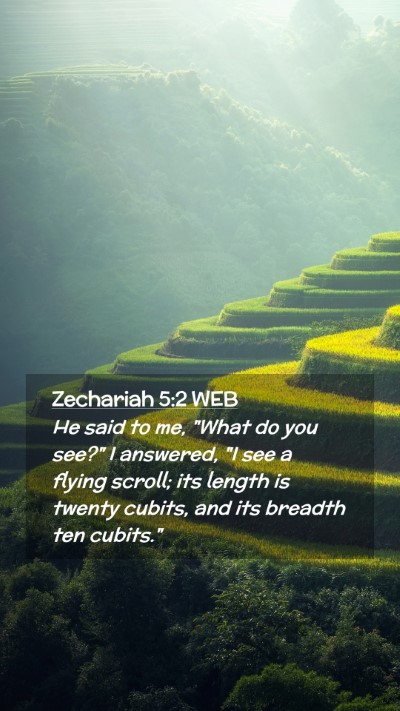 Picture 02 - Zechariah 5:2 WEB Mobile Phone Wallpaper - He said to me, 