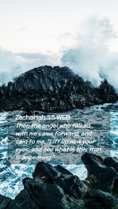 Picture 02 - Zechariah 5:5 WEB Mobile Phone Wallpaper - Then the angel who talked with me came forward, - Mobile Bible Verse Wallpaper