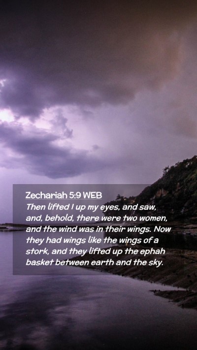 Picture 02 - Zechariah 5:9 WEB Mobile Phone Wallpaper - Then lifted I up my eyes, and saw, and, behold, - Mobile Bible Verse Wallpaper